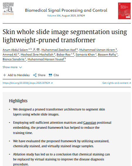 Skin whole slide image segmentation using lightweight-pruned transformer.