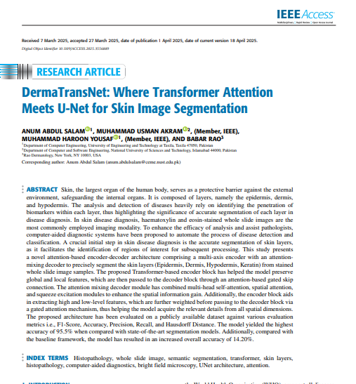 DermaTransNet: Where Transformer Attention Meets U-Net for Skin Image Segmentation.