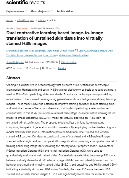 Dual contrastive learning based image-to-image translation of unstained skin tissue into virtually stained H&E images.
